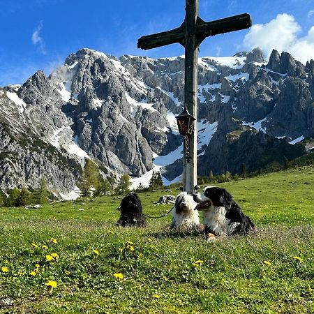 Apart Ursus Hinterthal Maria Alm am Steinernen Meer Exteriör bild