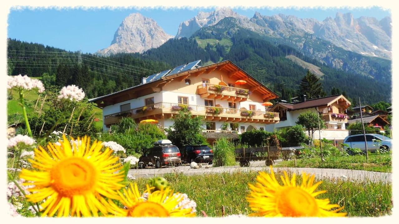 Apart Ursus Hinterthal Maria Alm am Steinernen Meer Exteriör bild
