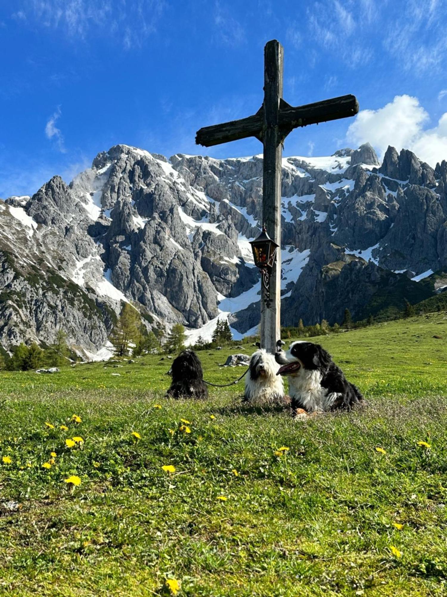 Apart Ursus Hinterthal Maria Alm am Steinernen Meer Exteriör bild
