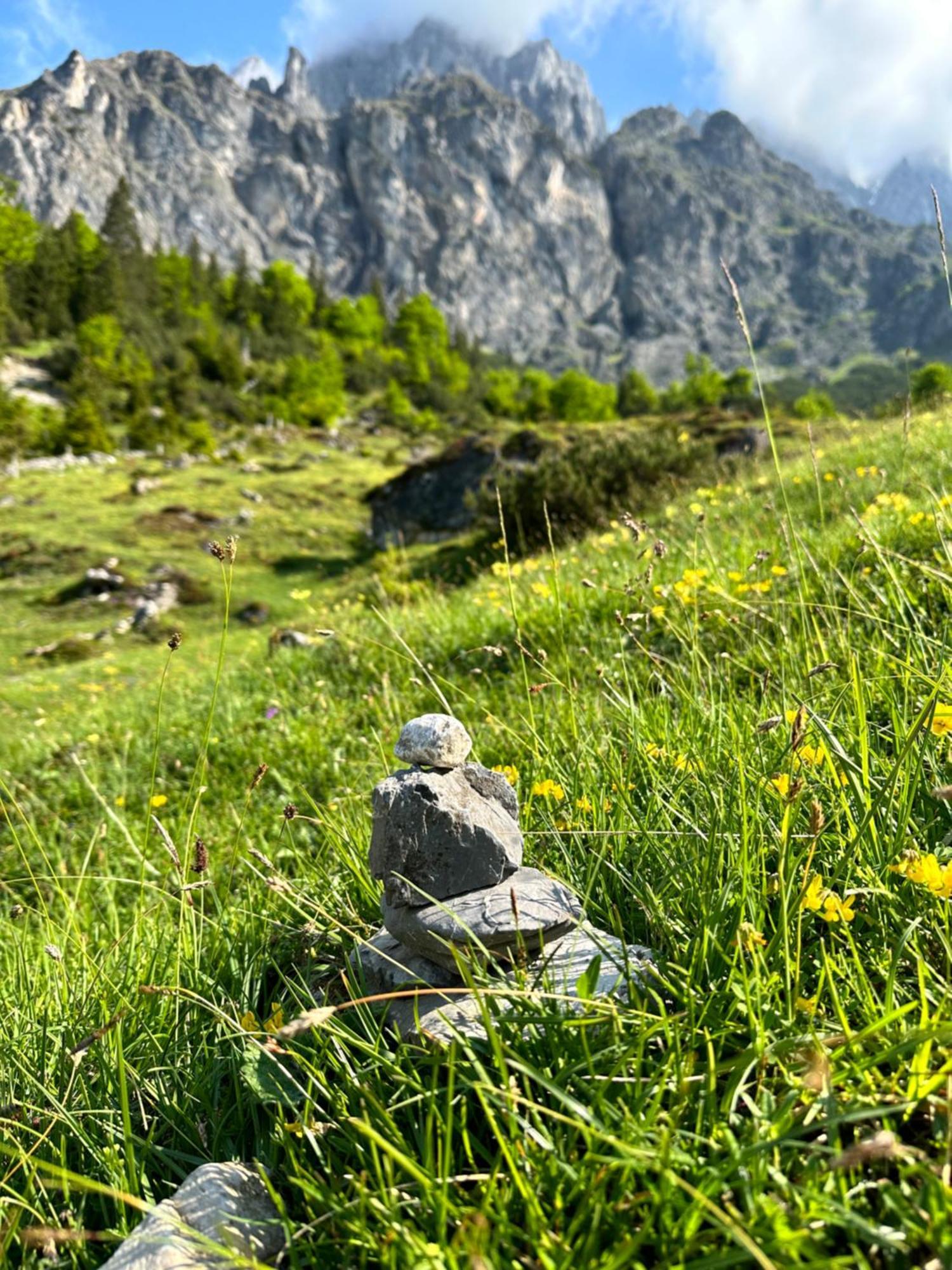 Apart Ursus Hinterthal Maria Alm am Steinernen Meer Exteriör bild