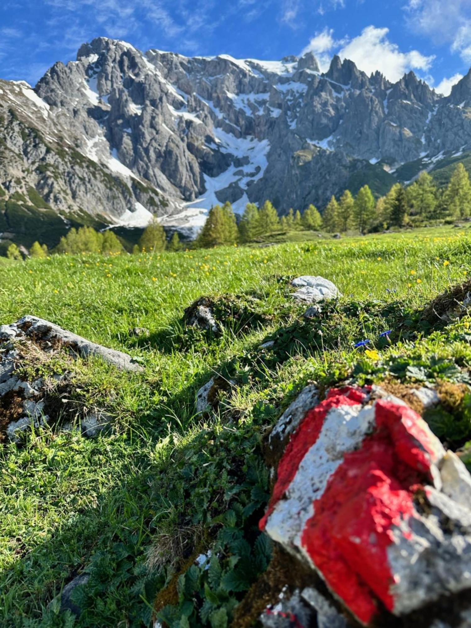 Apart Ursus Hinterthal Maria Alm am Steinernen Meer Exteriör bild
